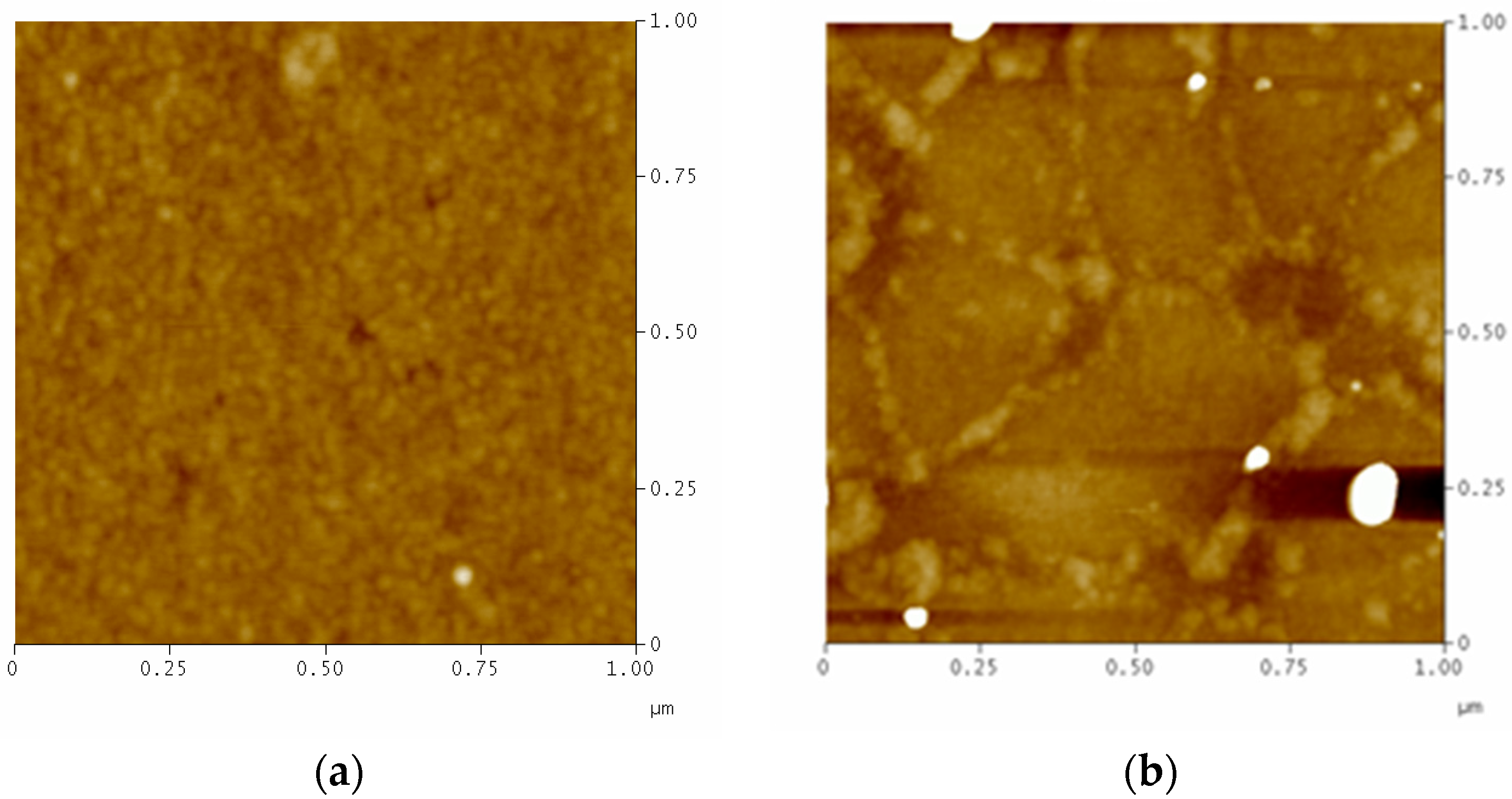 Applsci 12 10208 g006