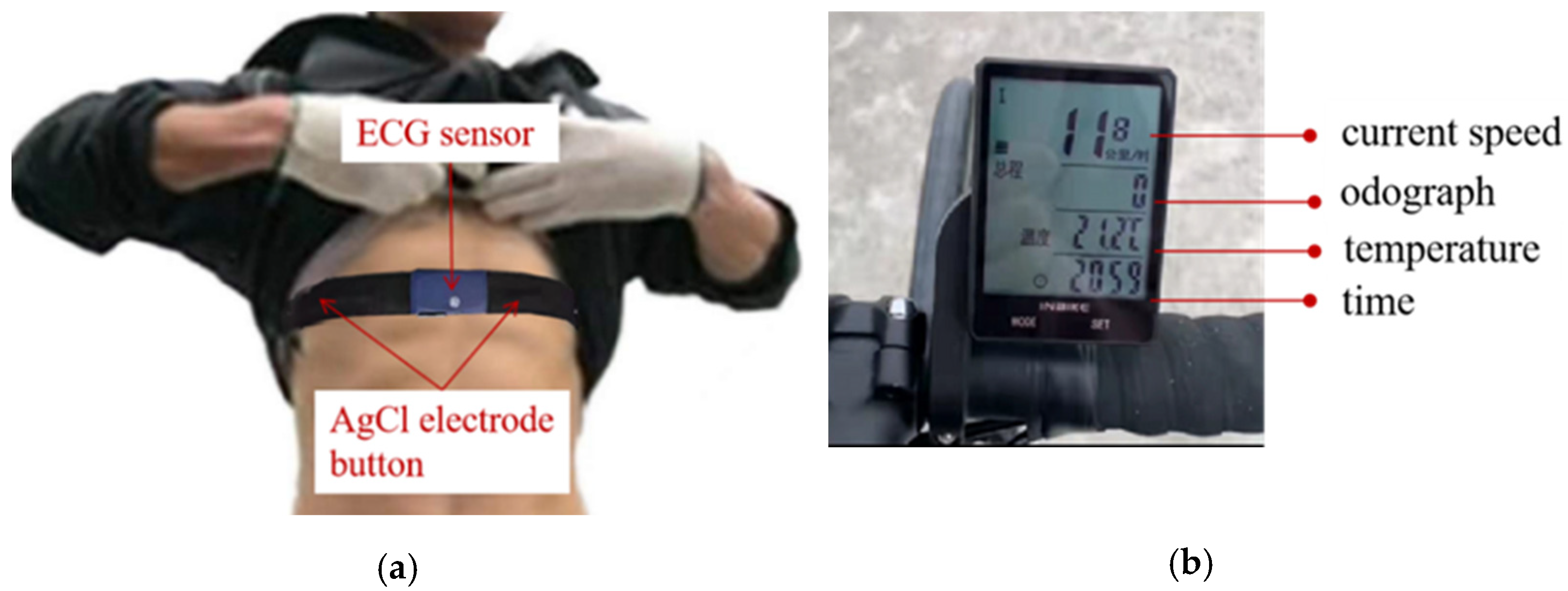 Applsci 12 10209 g006