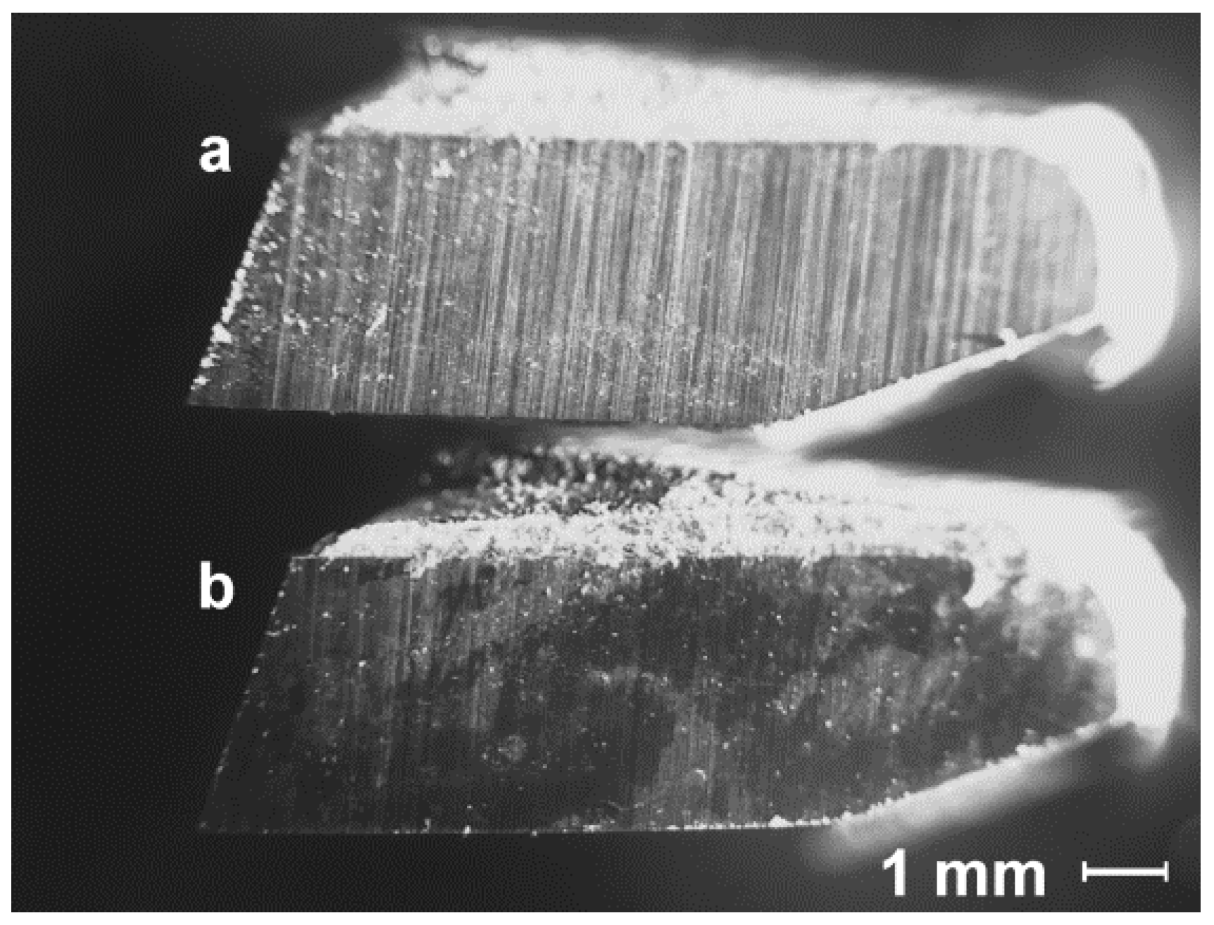 Applsci 12 10211 g011