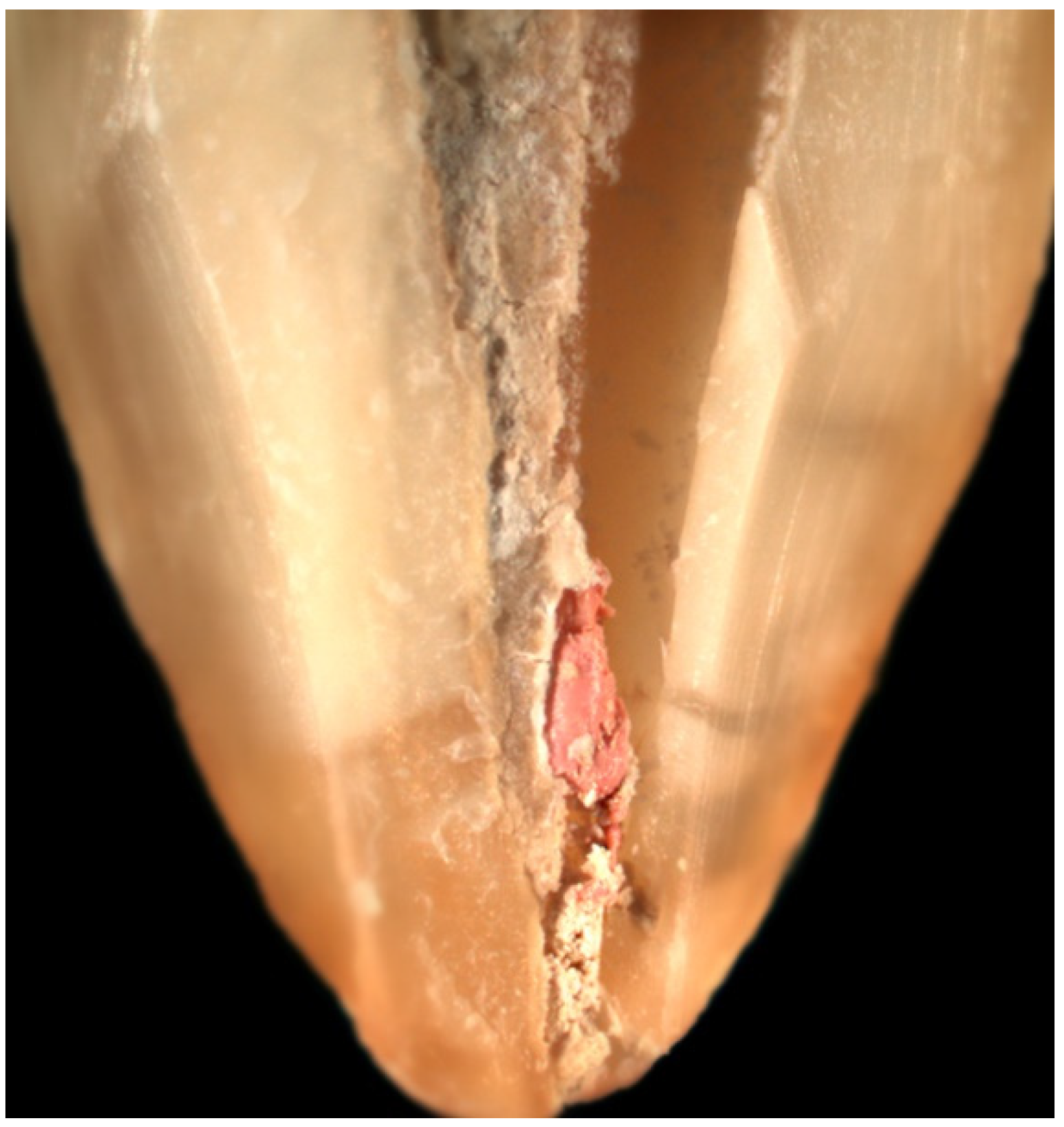 Applsci 12 10217 g002