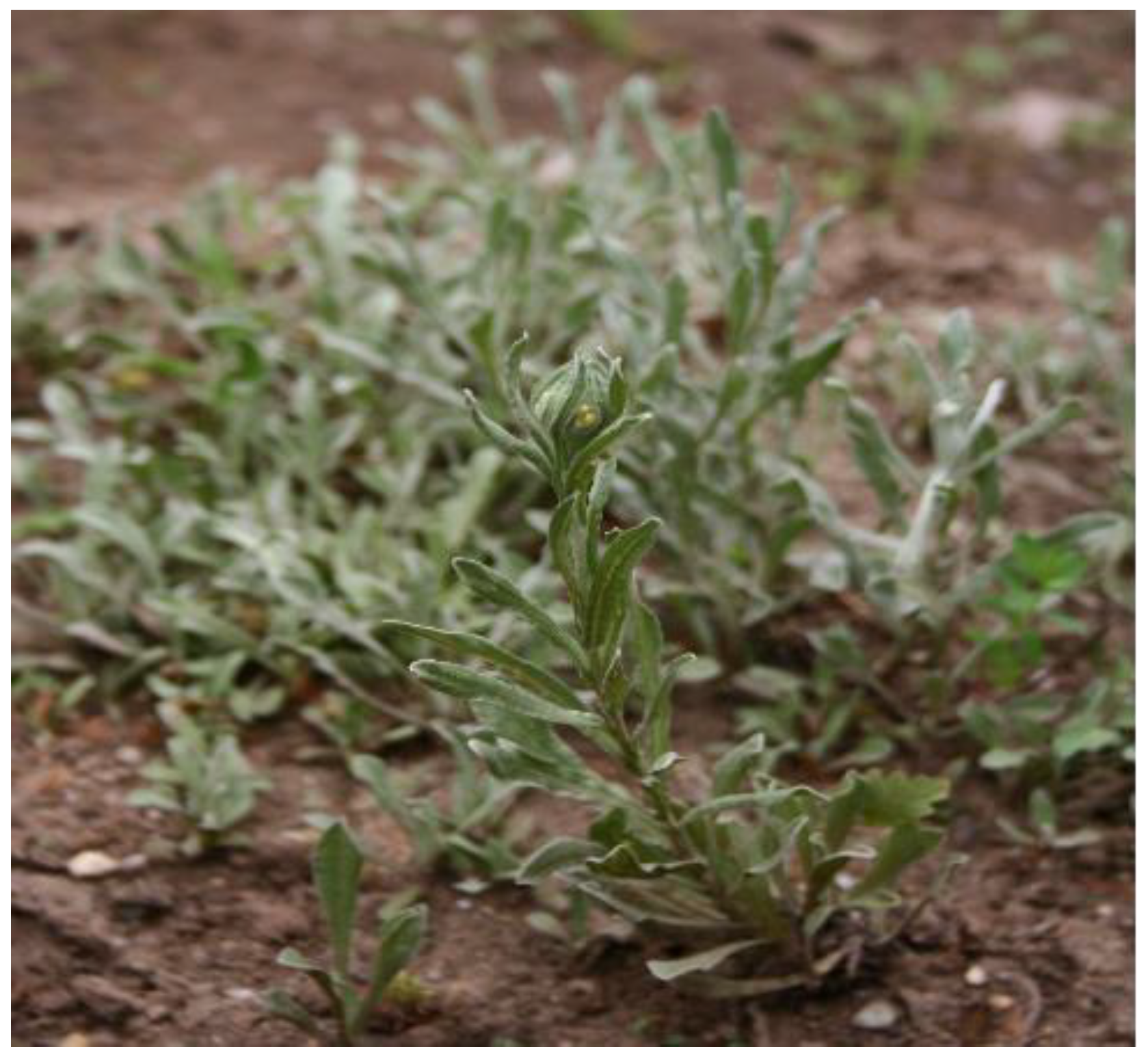 Applsci 12 10241 g001