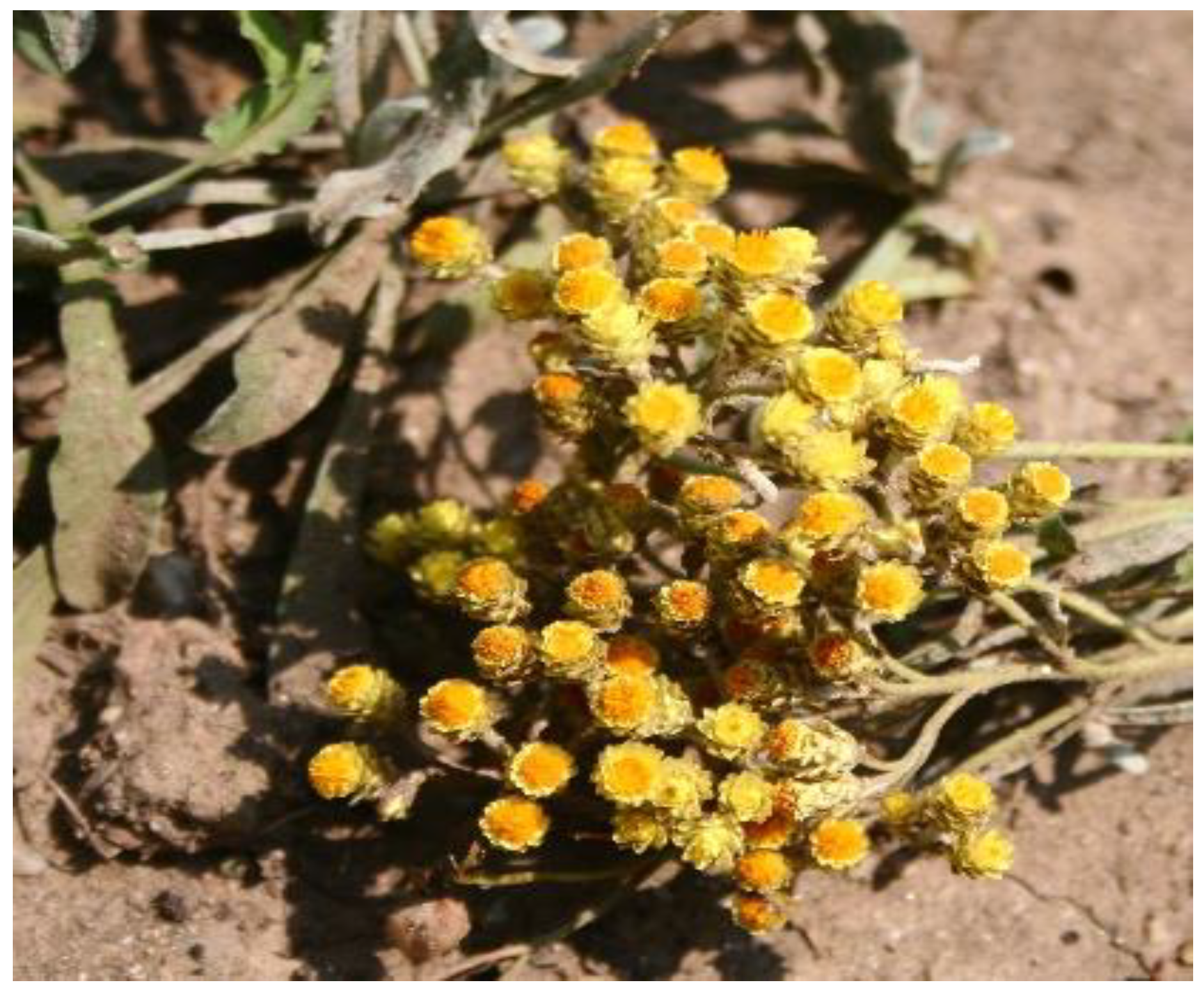 Applsci 12 10241 g002