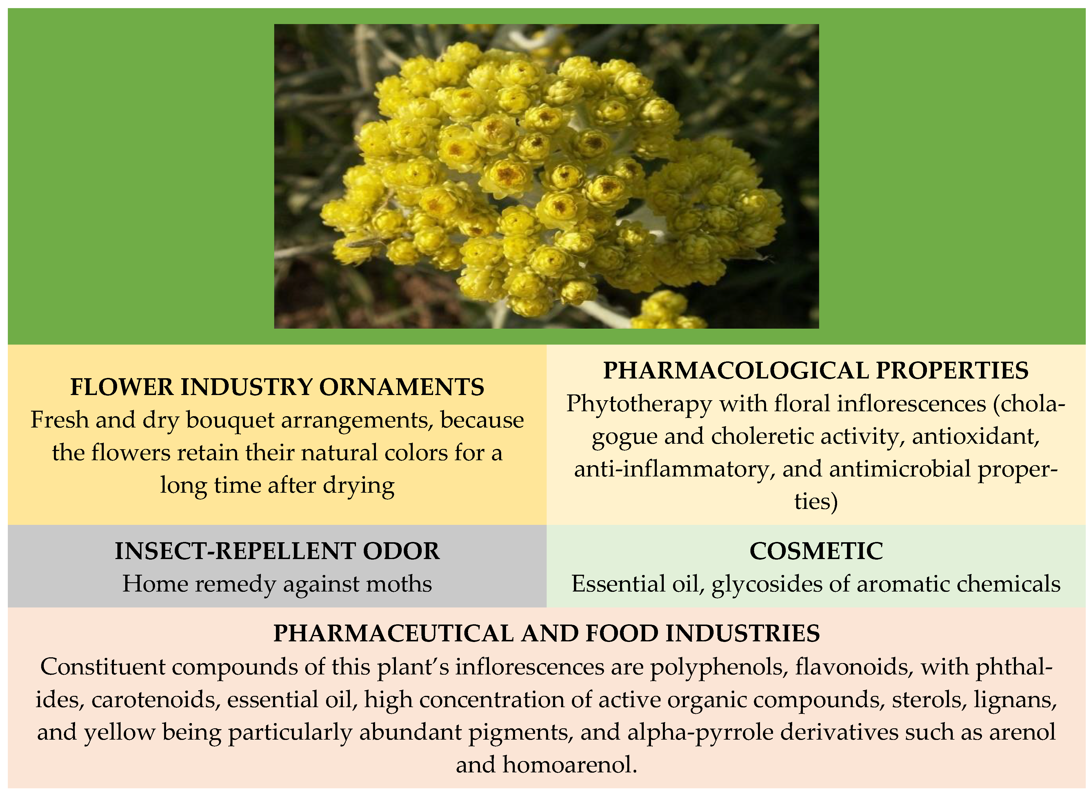 Applsci 12 10241 g004