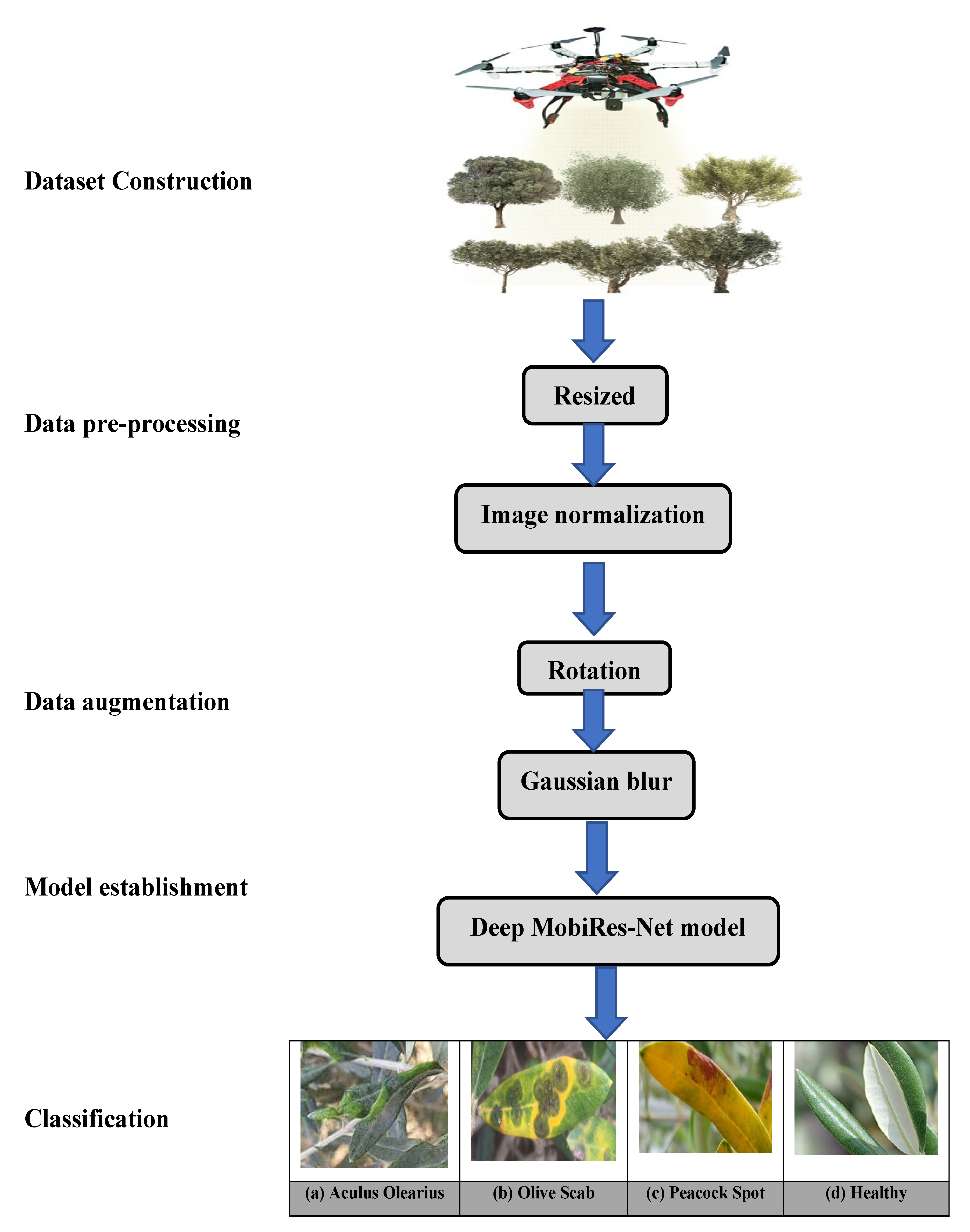 Applsci 12 10278 g003