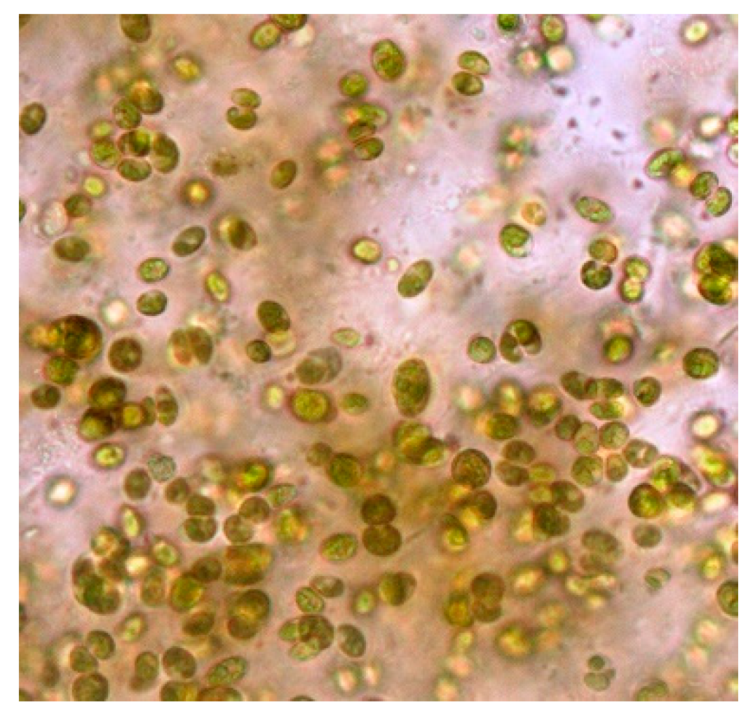 Applsci 12 10299 g008