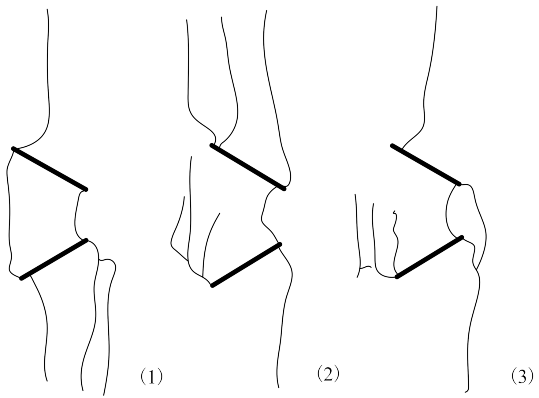 Applsci 12 10367 i005 Applsci 12 10367 i005
