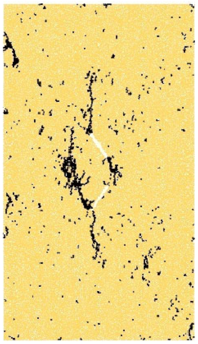 Applsci 12 10367 i008 Applsci 12 10367 i008