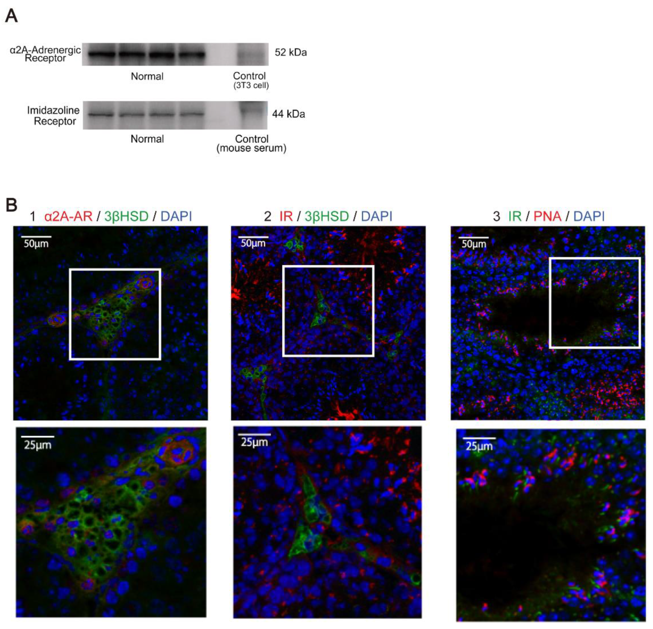 Applsci 12 10409 g001 Applsci 12 10409 g001