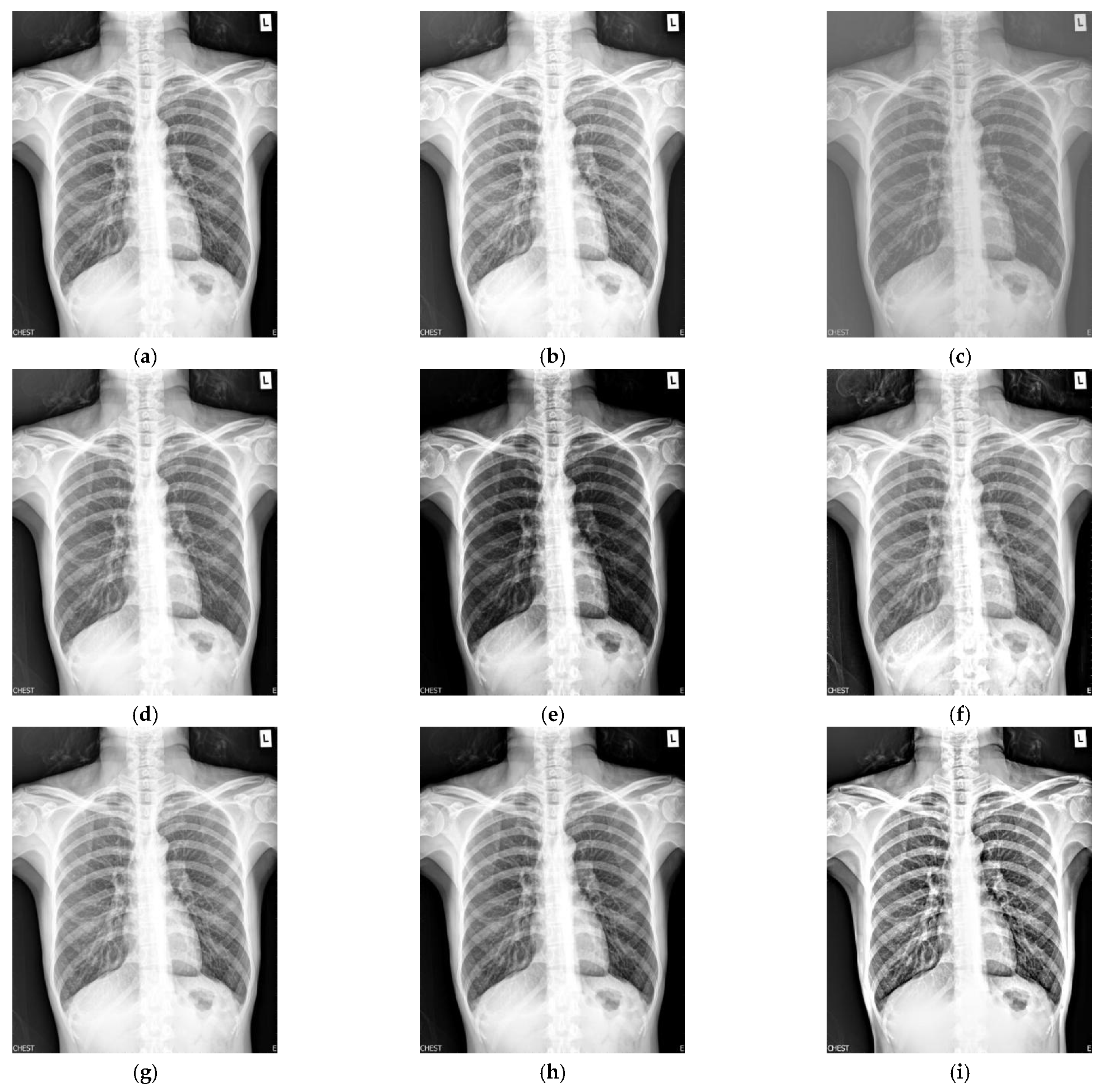 Applsci 12 10453 g001