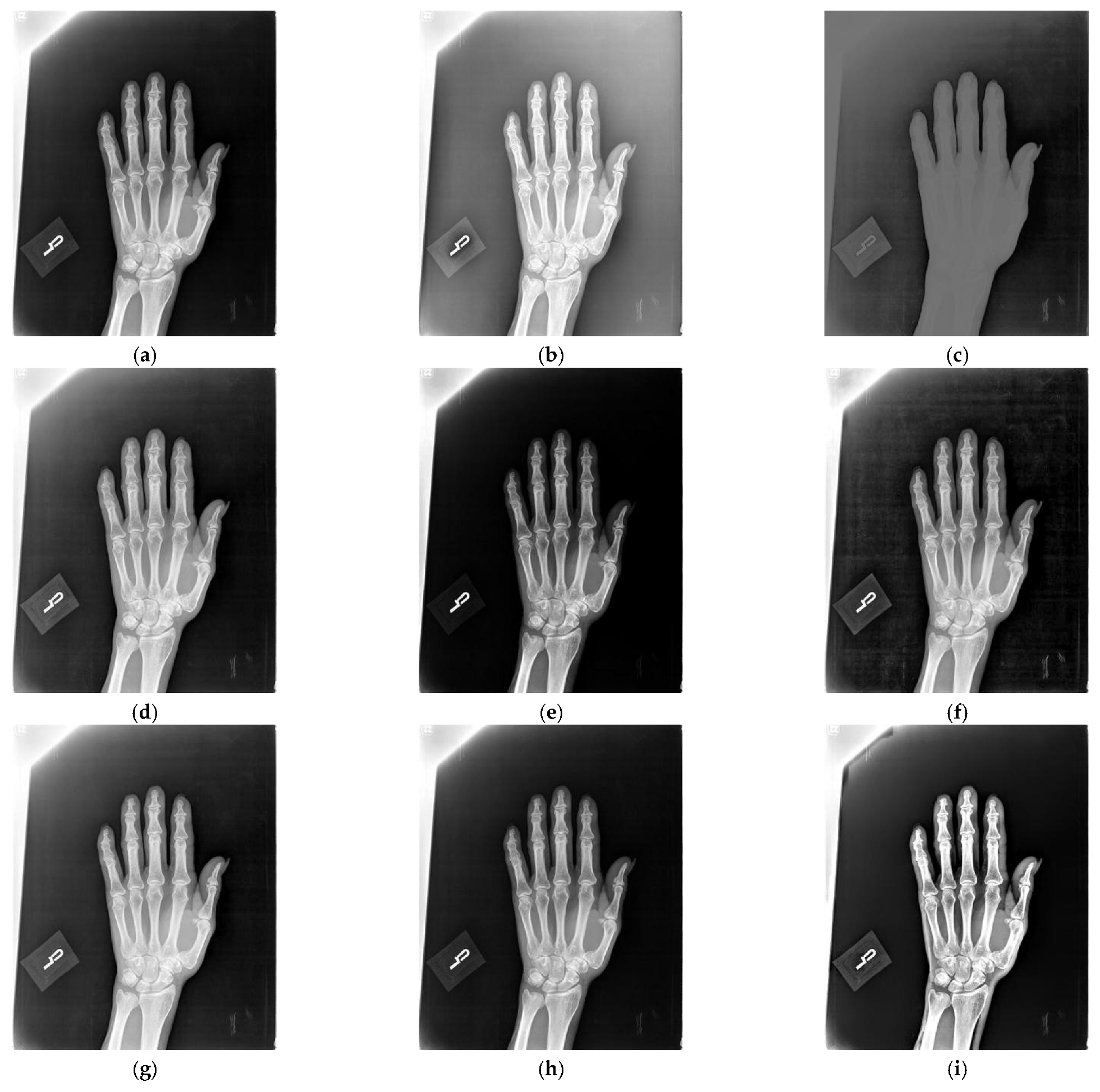 Applsci 12 10453 g002