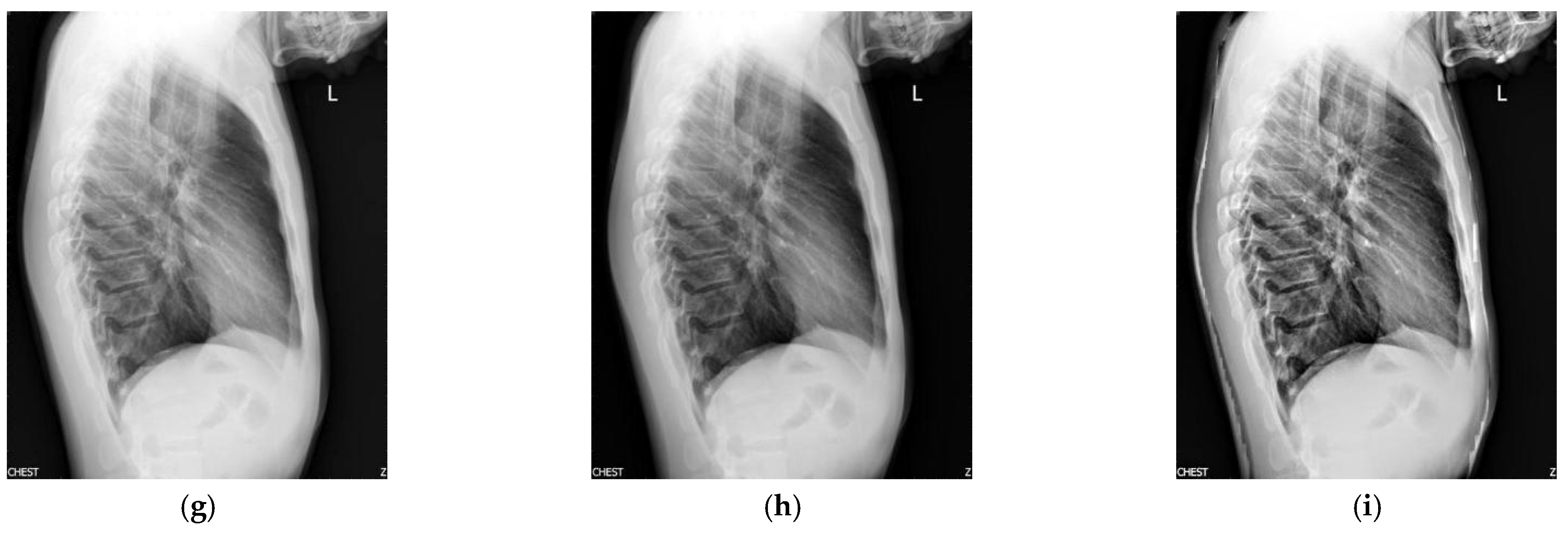 Applsci 12 10453 g003b