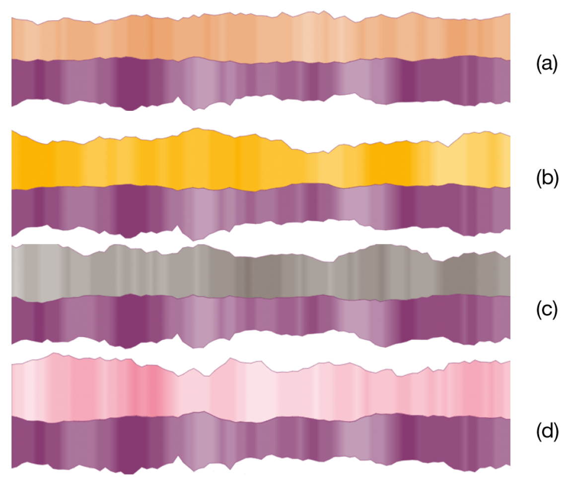 Applsci 12 10465 g016