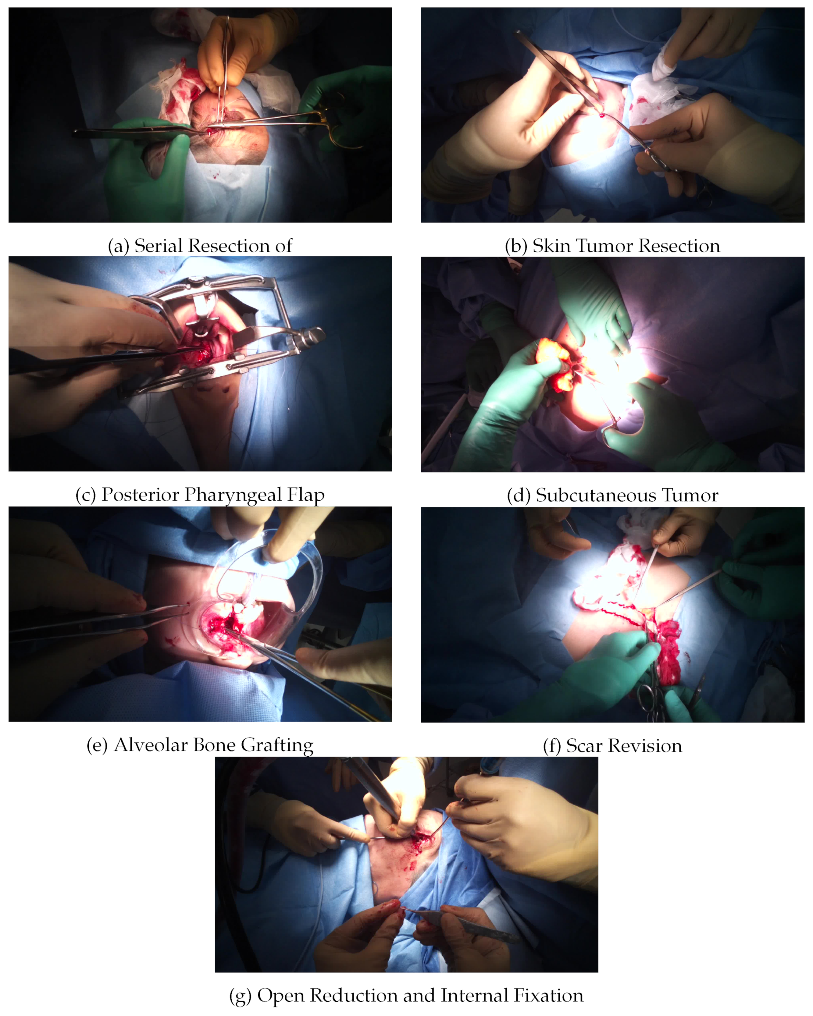 Applsci 12 10473 g002 Applsci 12 10473 g002