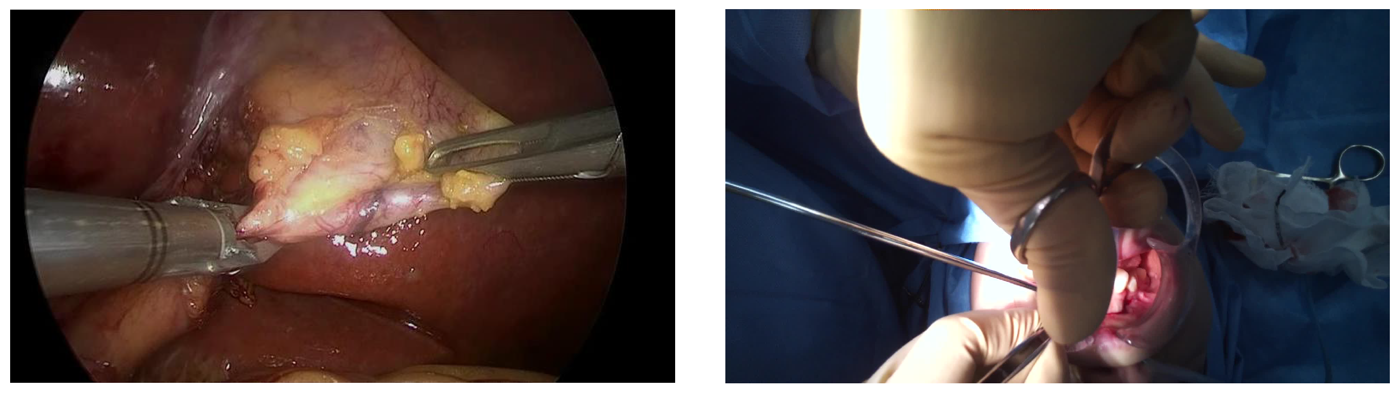 Applsci 12 10473 g005 Applsci 12 10473 g005