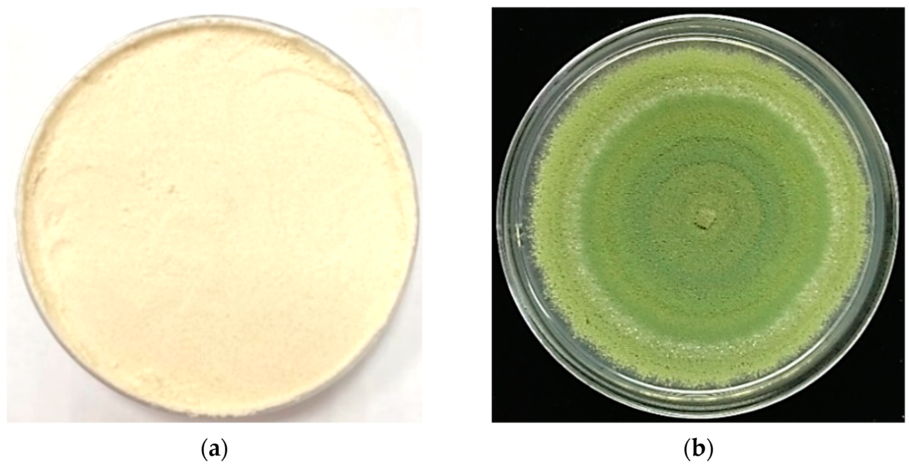 Applsci 12 10478 g001