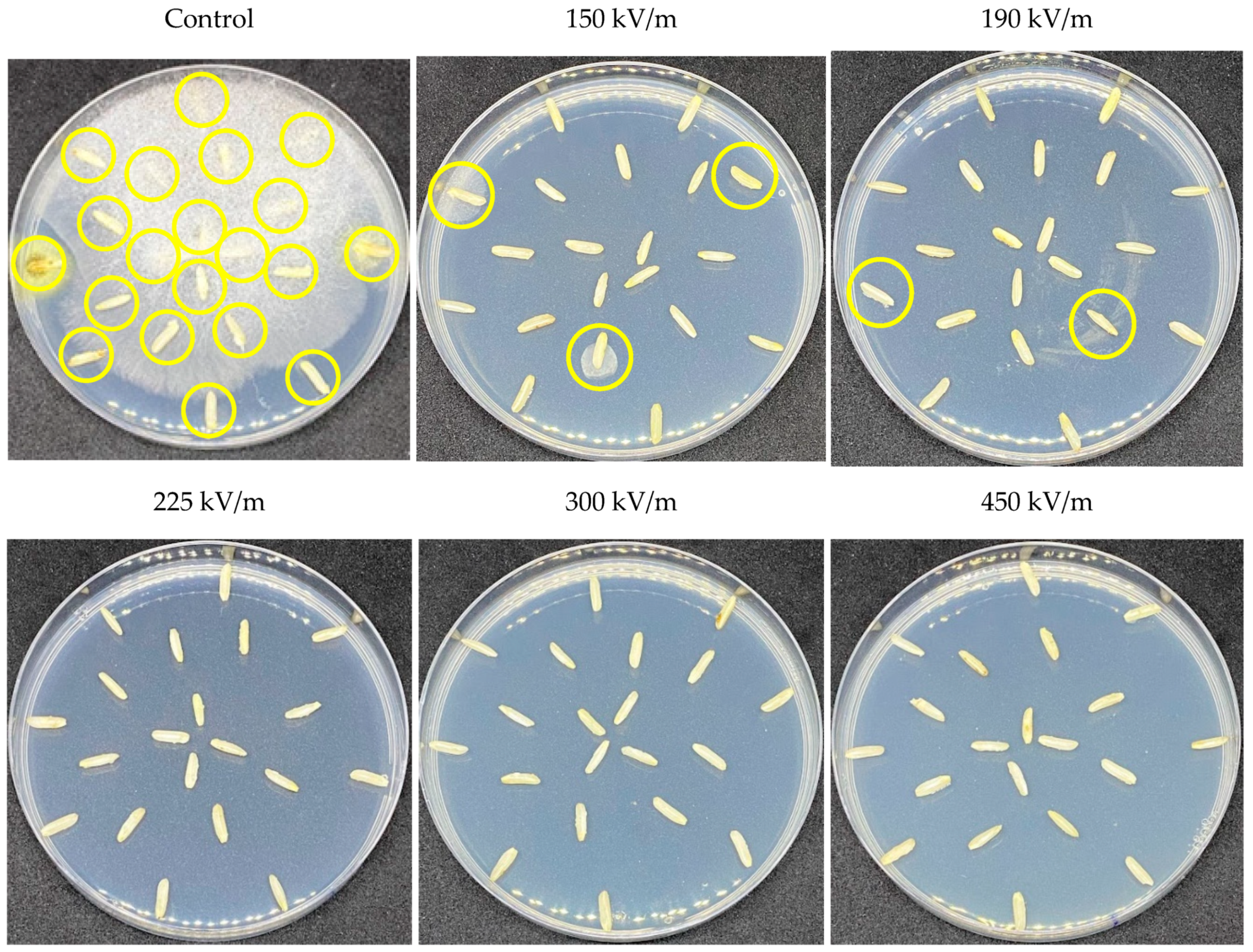 Applsci 12 10478 g008