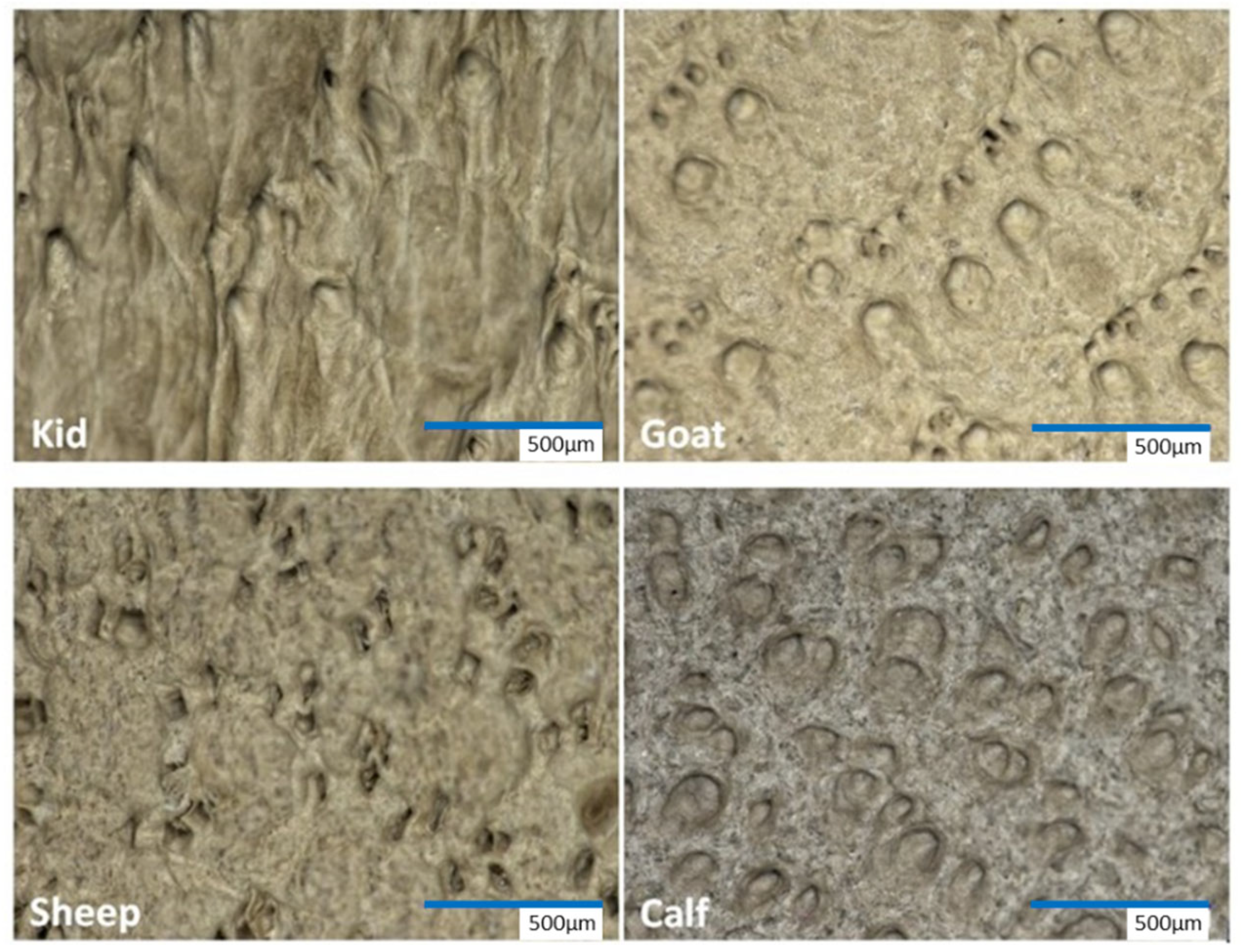 Applsci 12 10479 g001