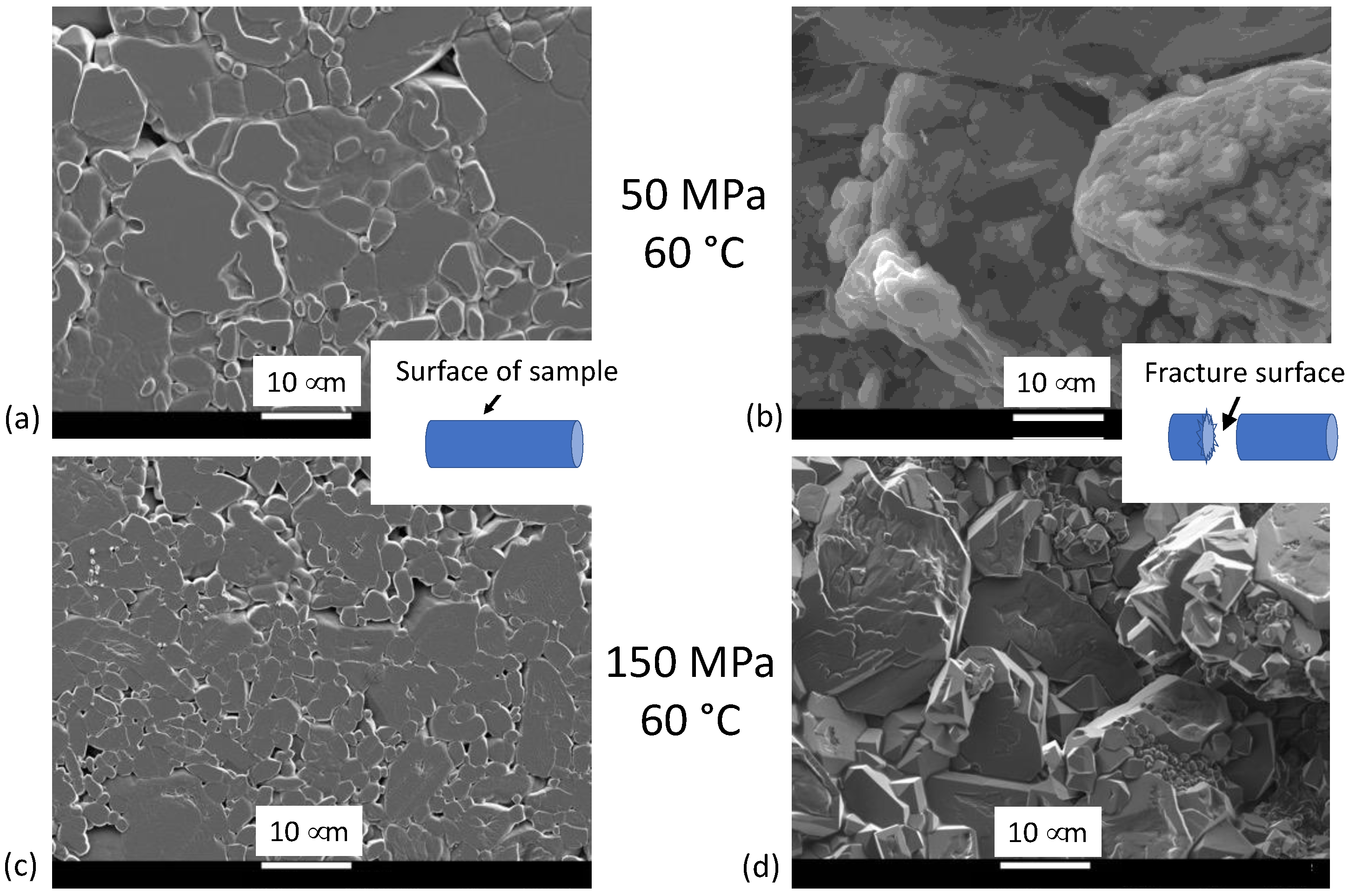 Applsci 12 10493 g008