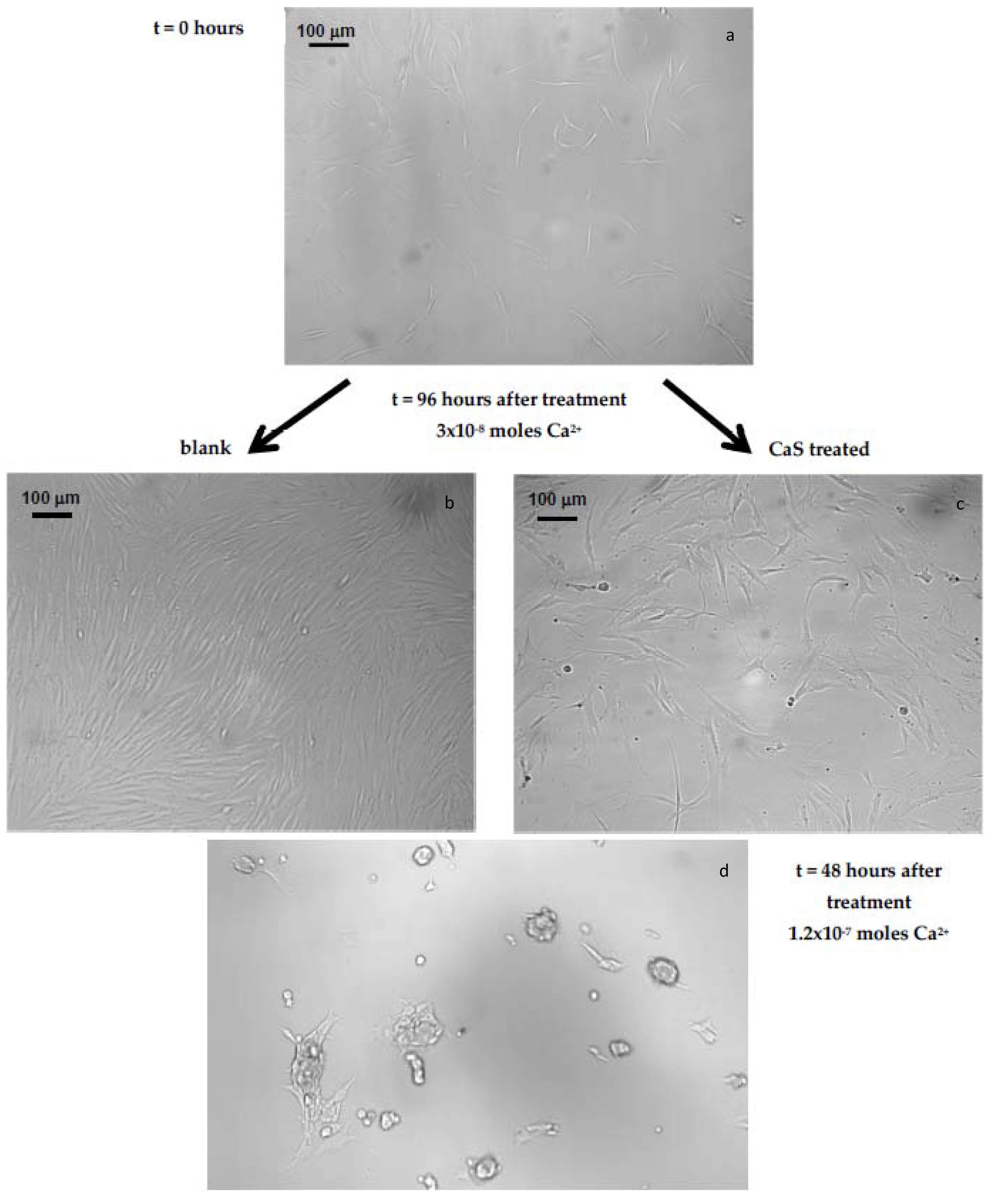 Applsci 12 10494 g003