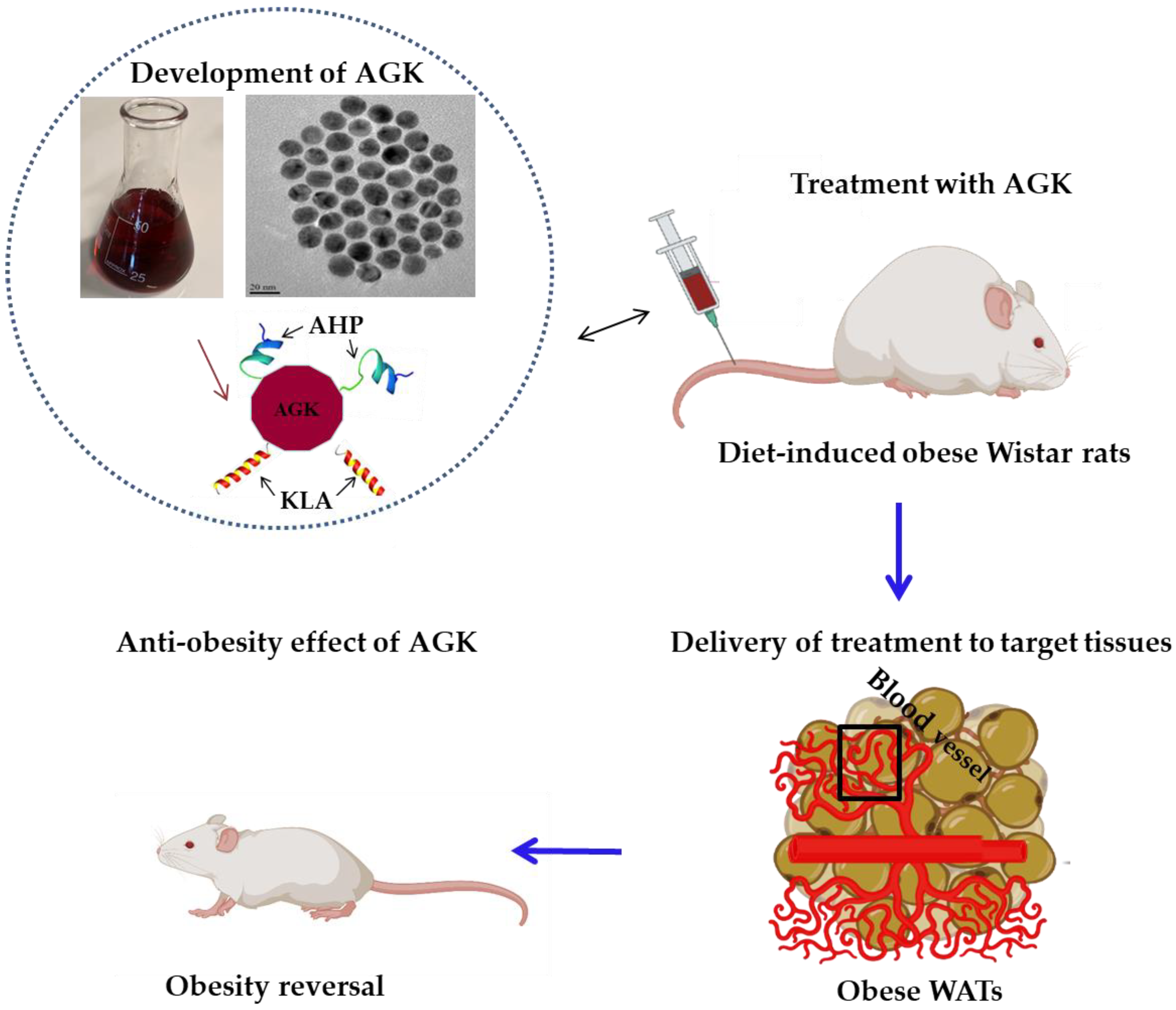 Applsci 12 10512 g003 Applsci 12 10512 g003