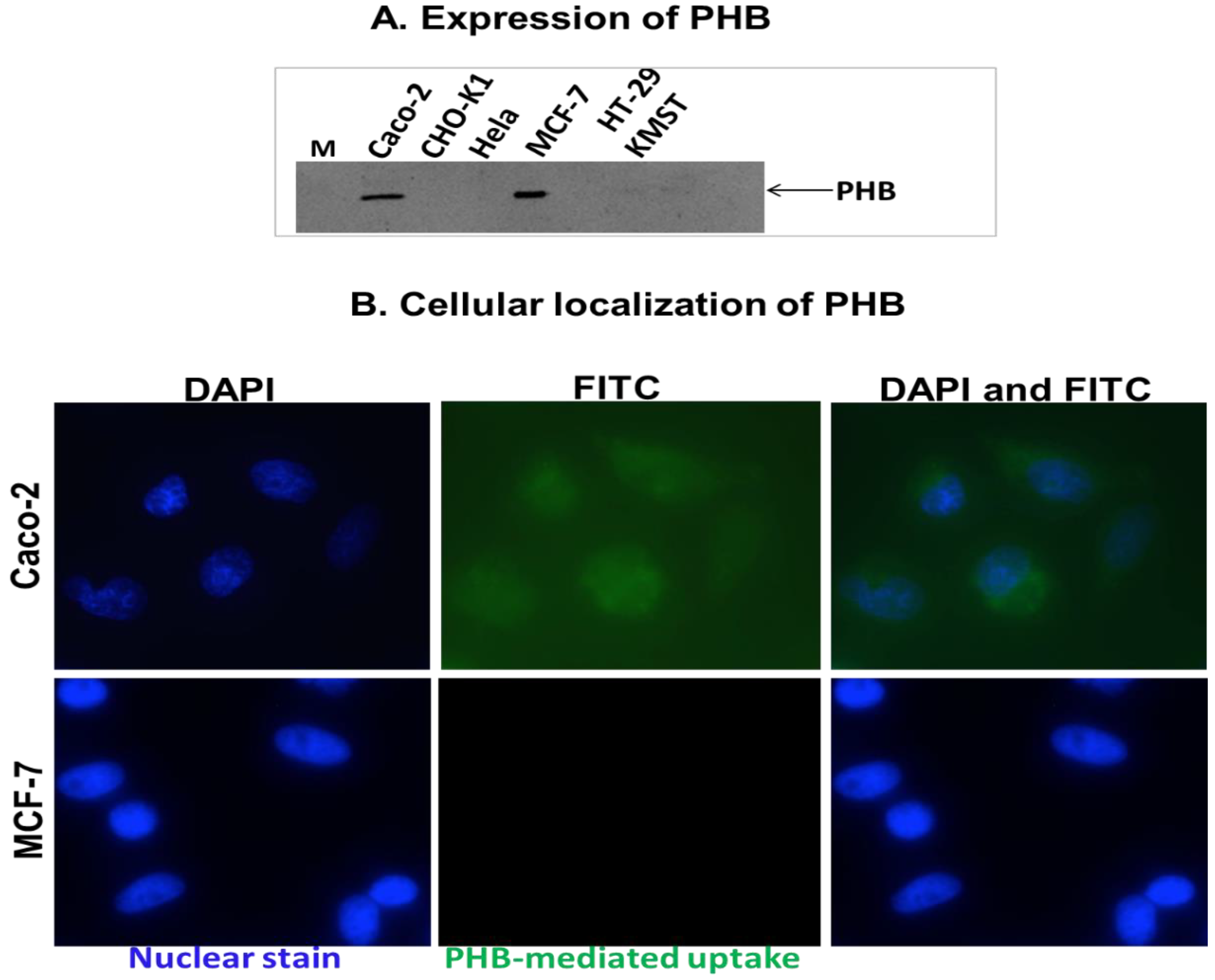 Applsci 12 10512 g004 Applsci 12 10512 g004