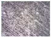 Applsci 12 10515 i109 Applsci 12 10515 i109