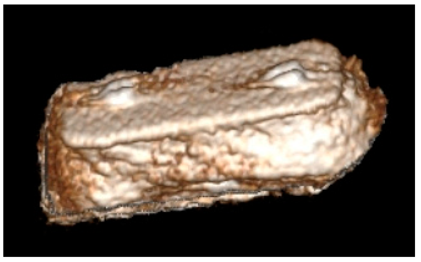 Applsci 12 10518 g003