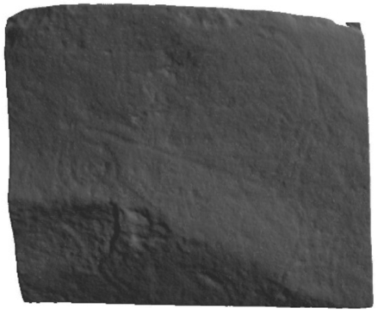 Applsci 12 10521 i002 Applsci 12 10521 i002