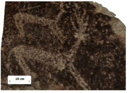 Applsci 12 10521 i007 Applsci 12 10521 i007