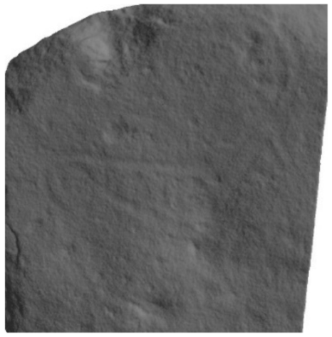 Applsci 12 10521 i010 Applsci 12 10521 i010