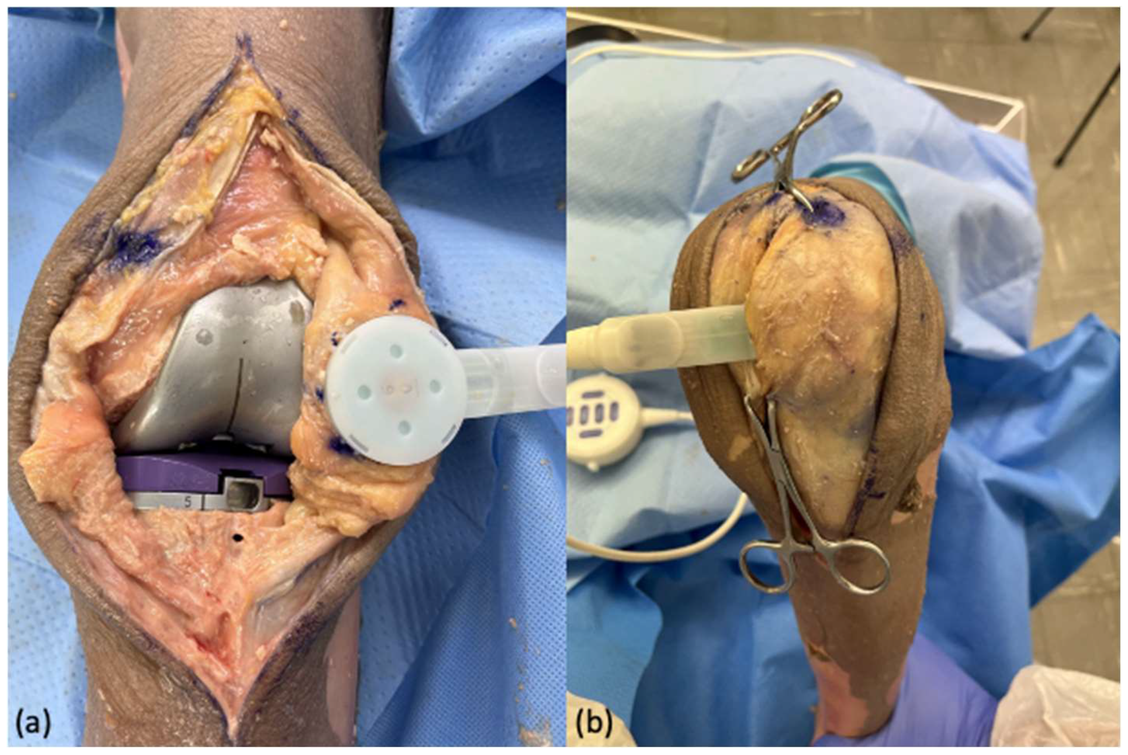 Applsci 12 10584 g002