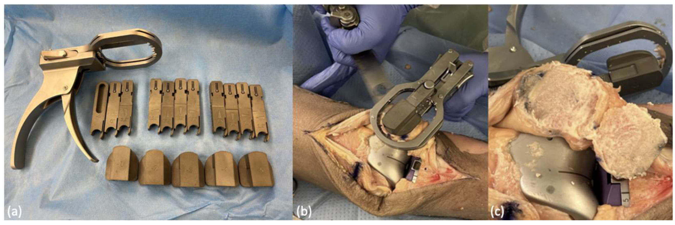 Applsci 12 10584 g006