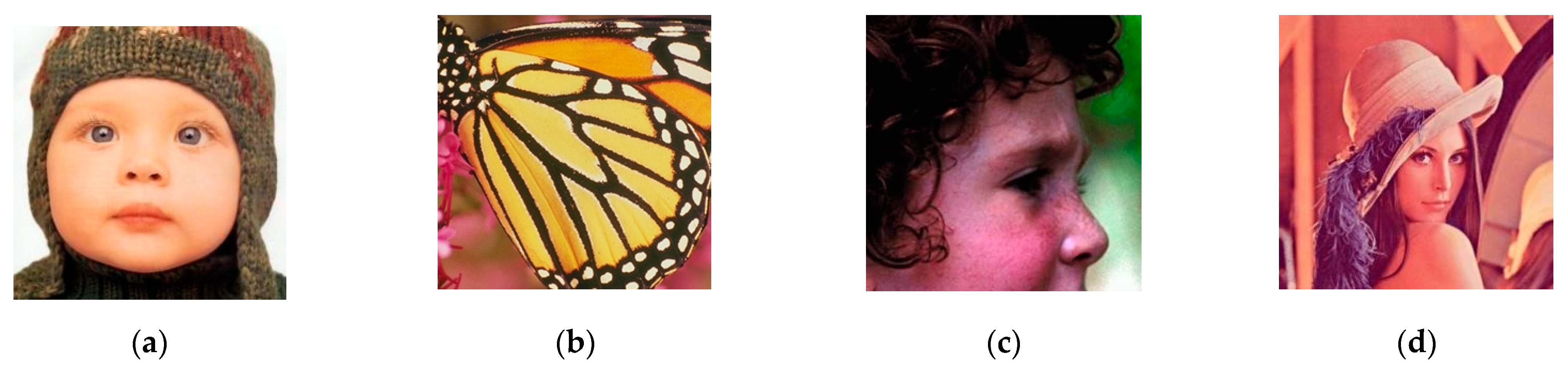 Applsci 12 10606 g003