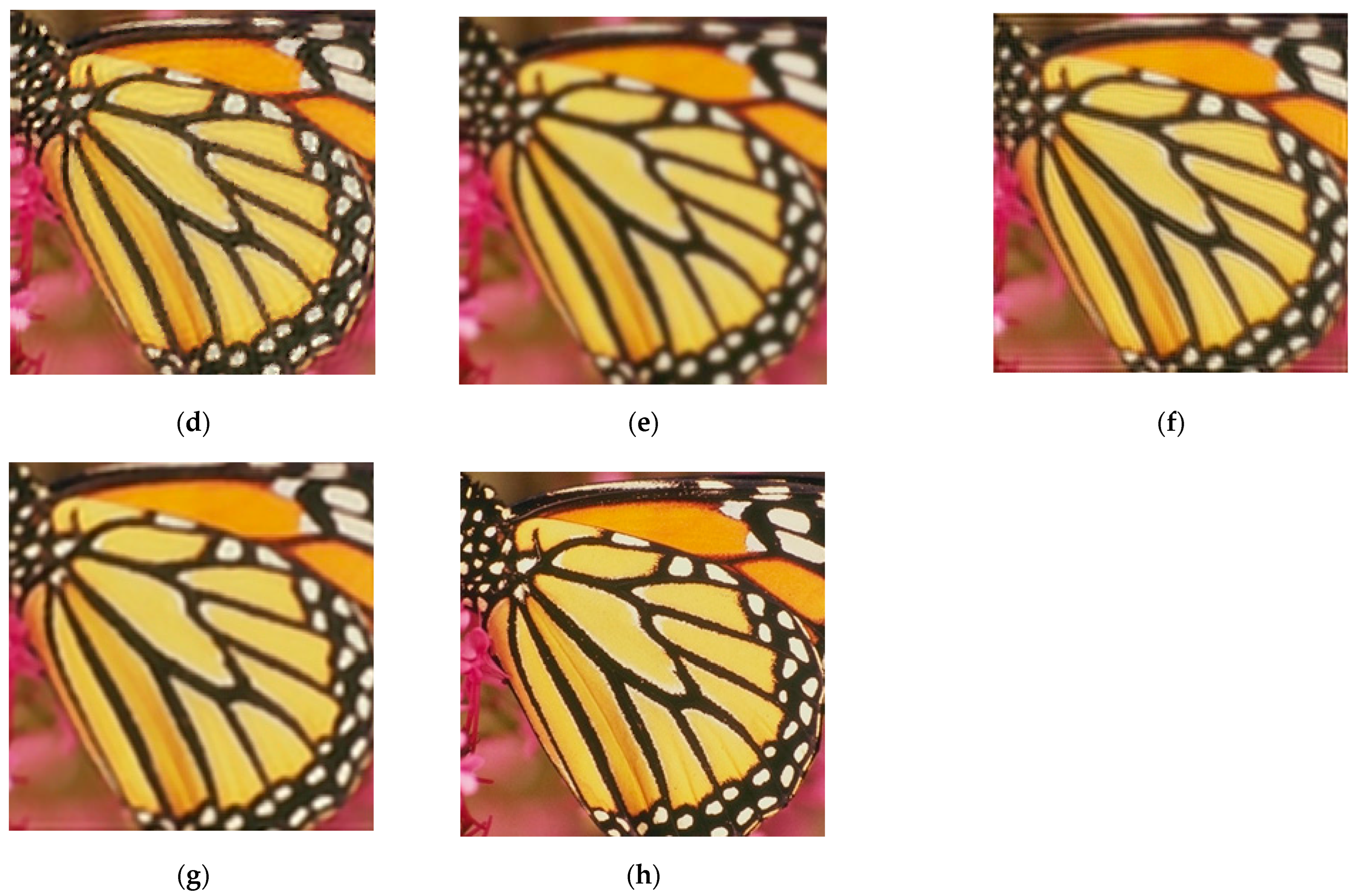 Applsci 12 10606 g006b