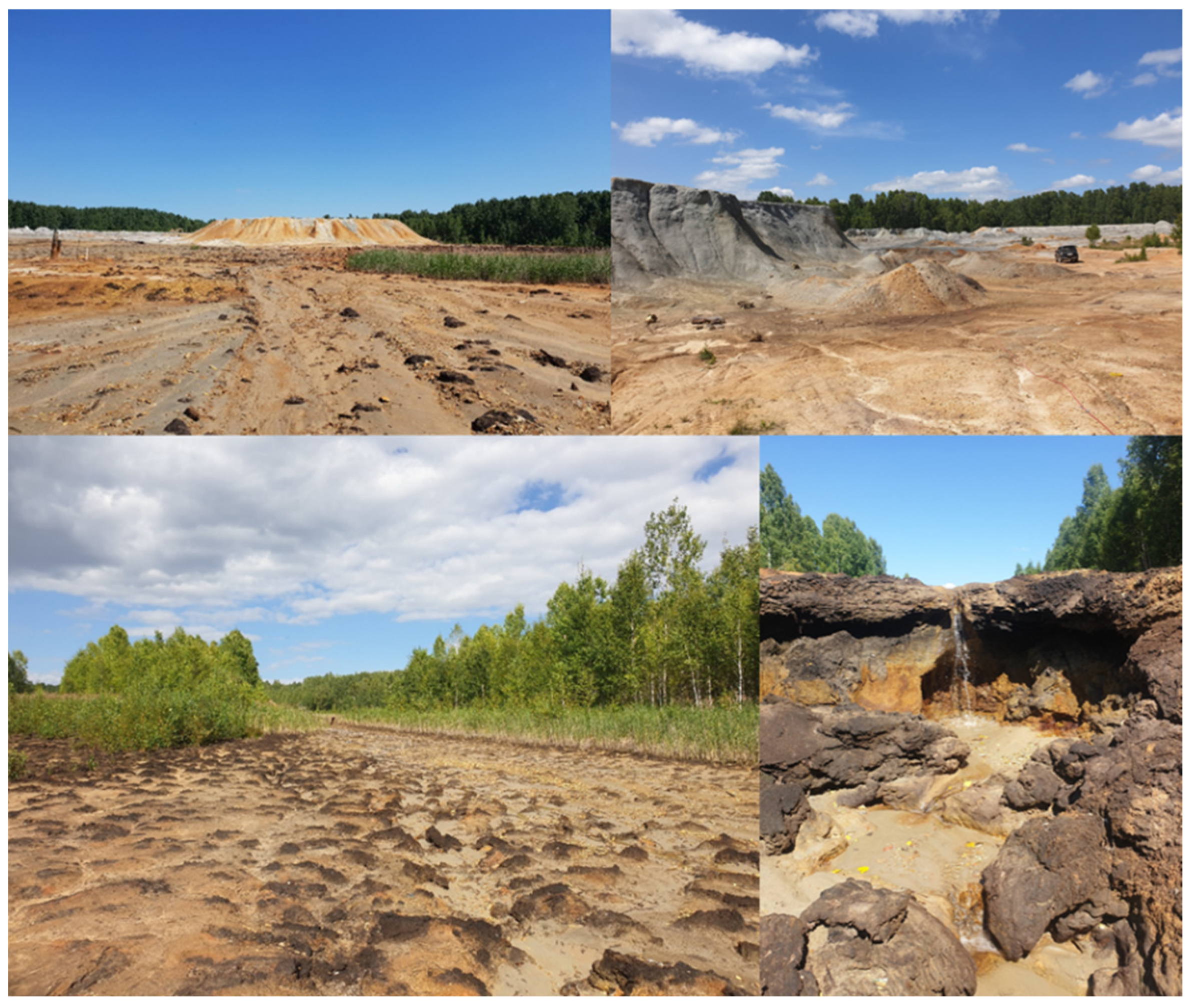 Applsci 12 10610 g002