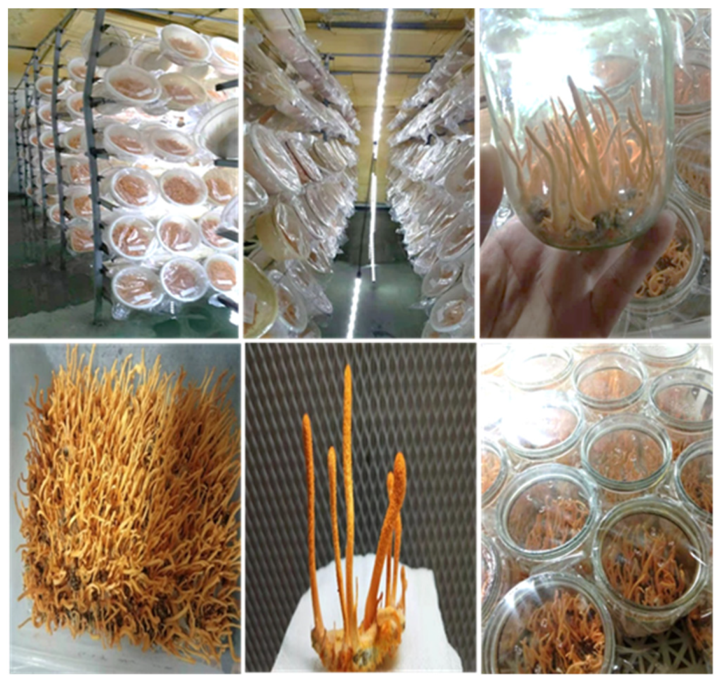 Applsci 12 10618 g001