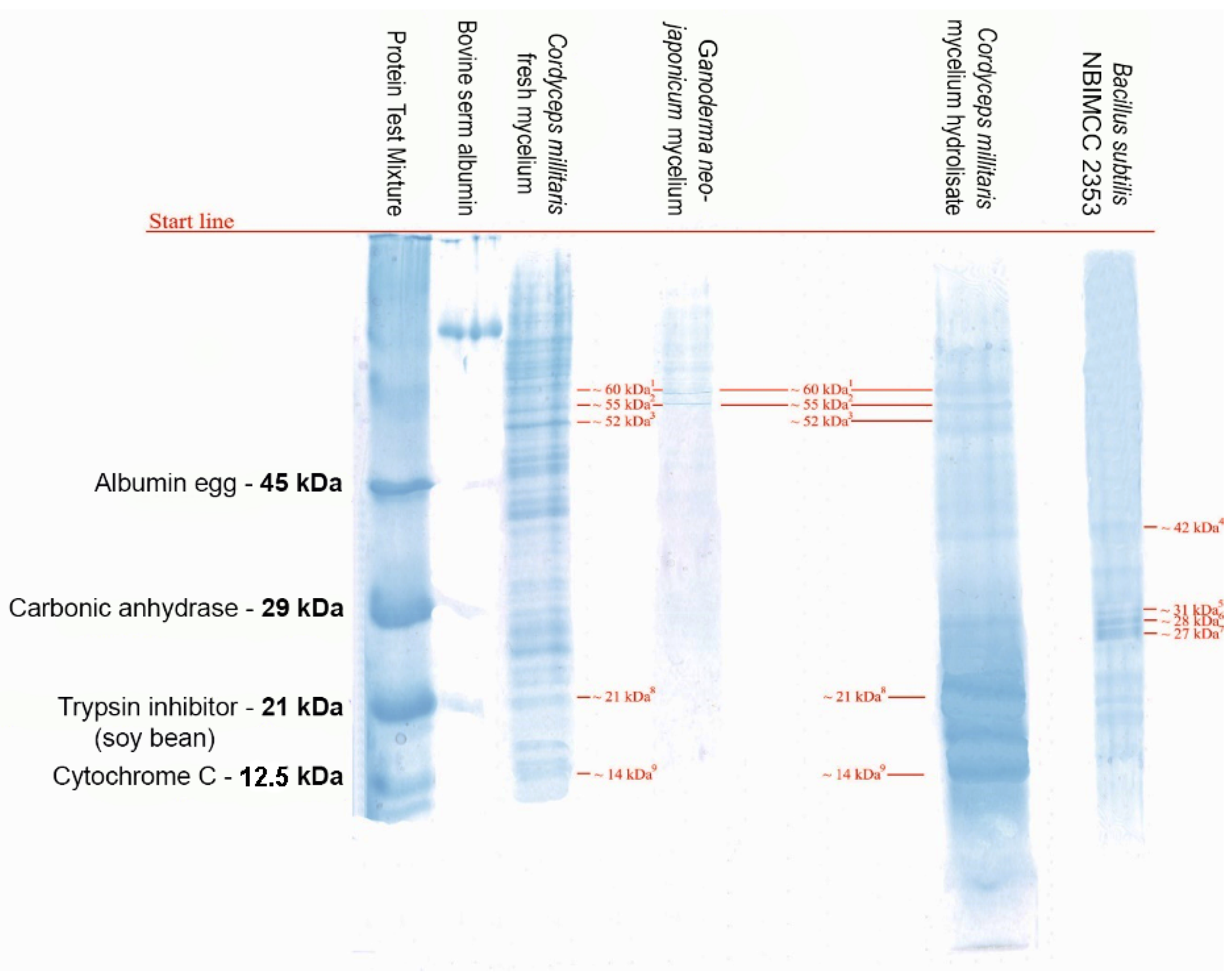 Applsci 12 10618 g002