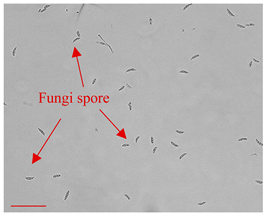 Applsci 12 10627 i001 Applsci 12 10627 i001