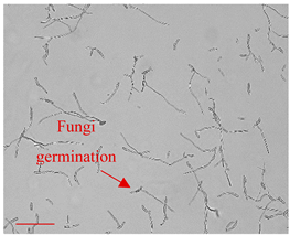 Applsci 12 10627 i003 Applsci 12 10627 i003