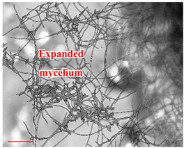 Applsci 12 10627 i008 Applsci 12 10627 i008