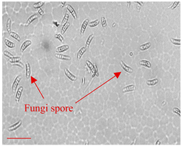 Applsci 12 10627 i009 Applsci 12 10627 i009