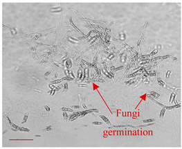 Applsci 12 10627 i012 Applsci 12 10627 i012