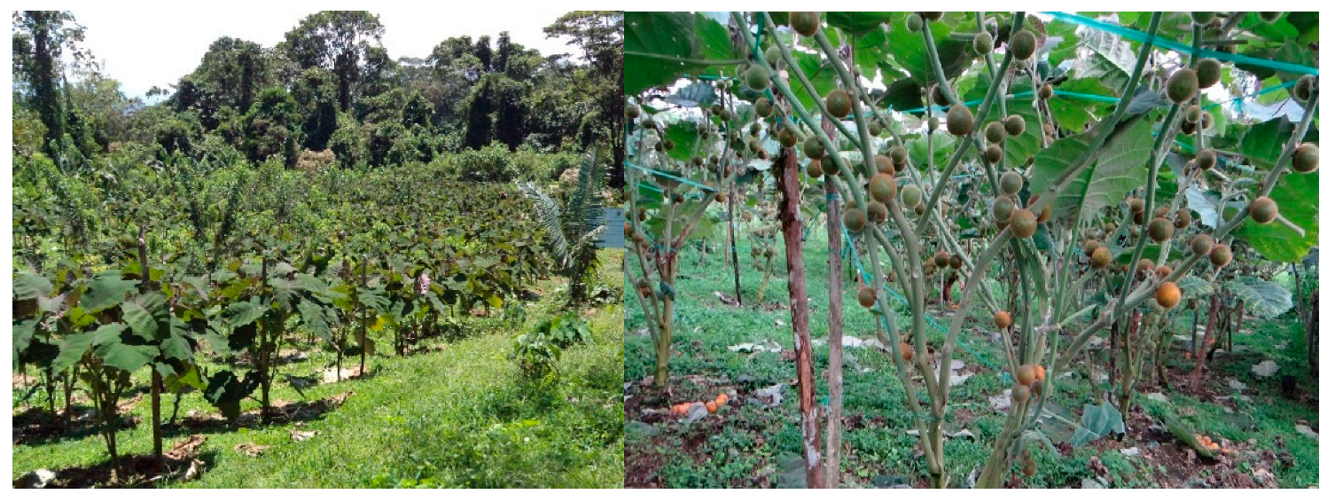 Applsci 12 10637 g001