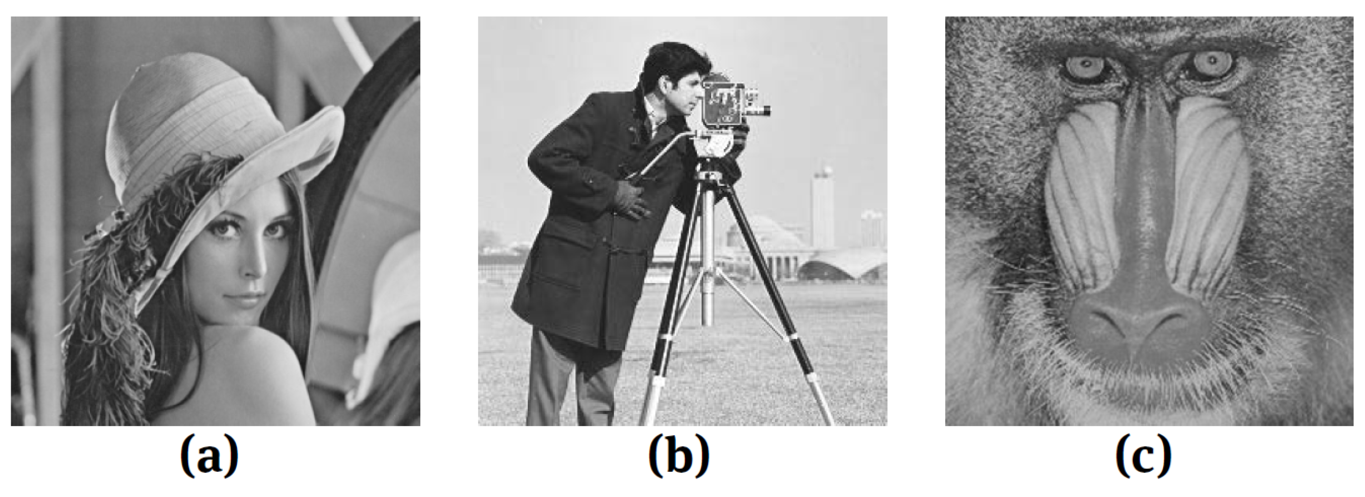 Applsci 12 10642 g005