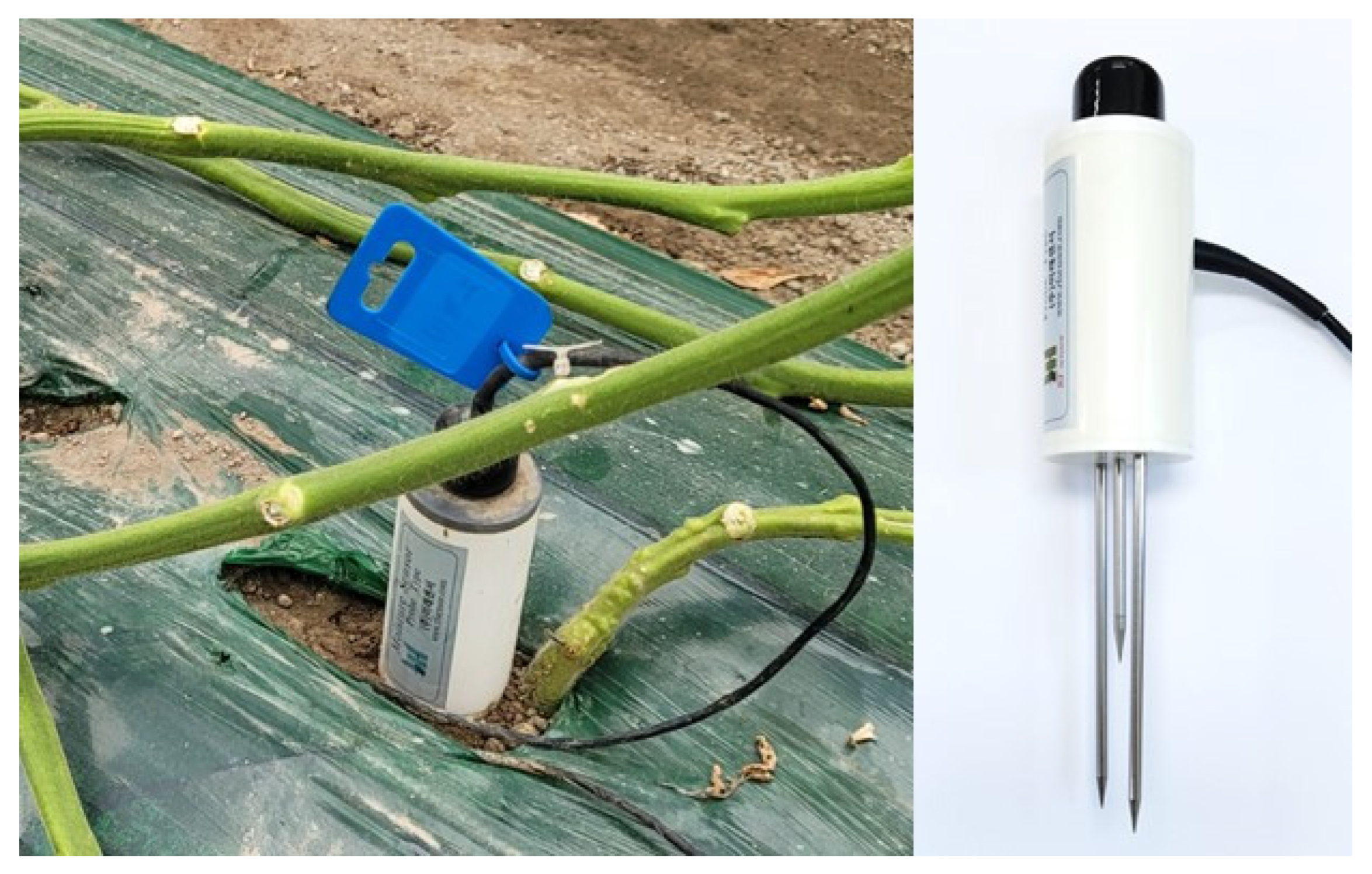 Applsci 12 10680 g003