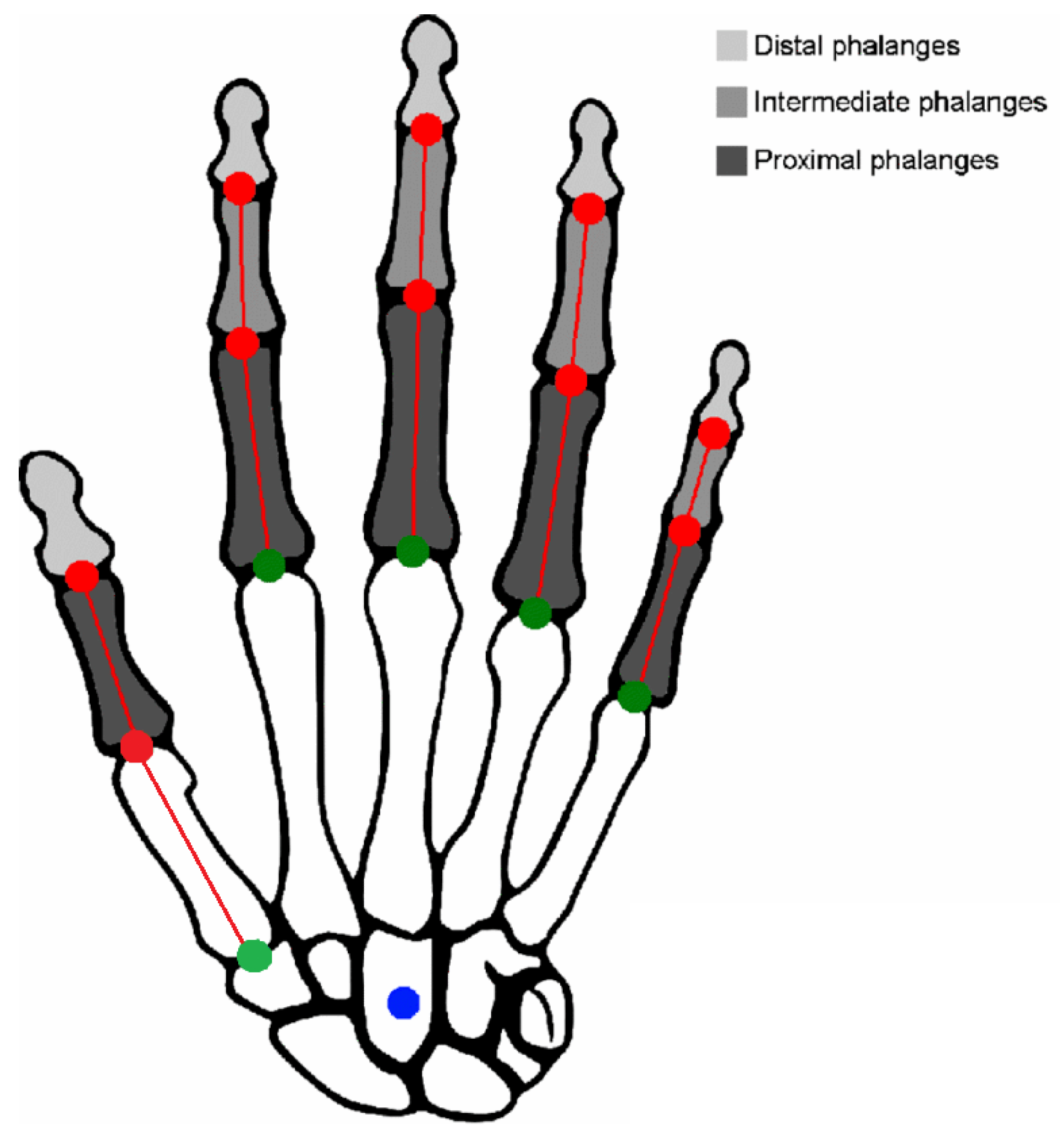Applsci 12 10752 g001 Applsci 12 10752 g001