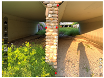 Applsci 12 10798 i007 Applsci 12 10798 i007