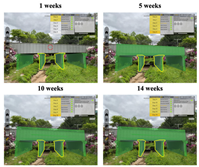 Applsci 12 10798 i008 Applsci 12 10798 i008