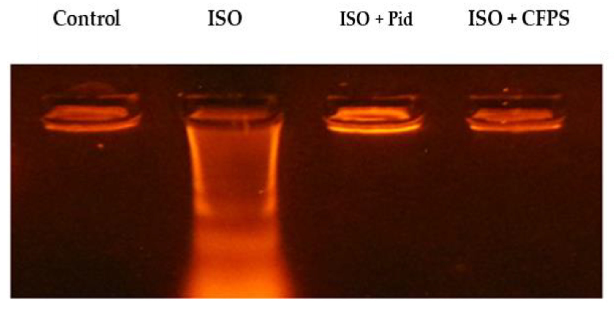 Applsci 12 10818 g006 Applsci 12 10818 g006