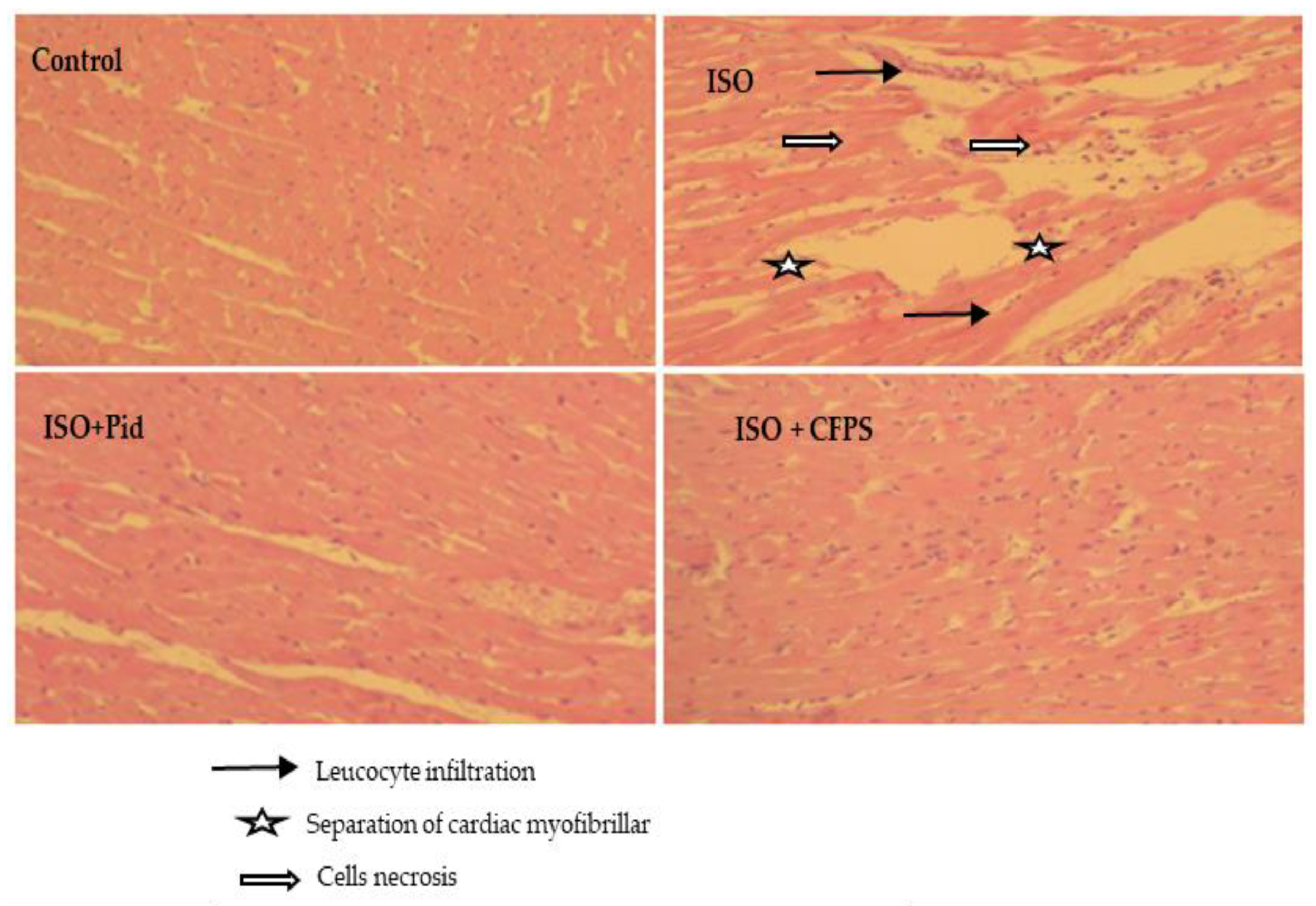 Applsci 12 10818 g008 Applsci 12 10818 g008